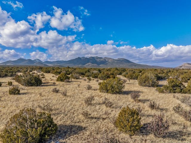 156 Wagon Trail, Cerrillos, NM 87010