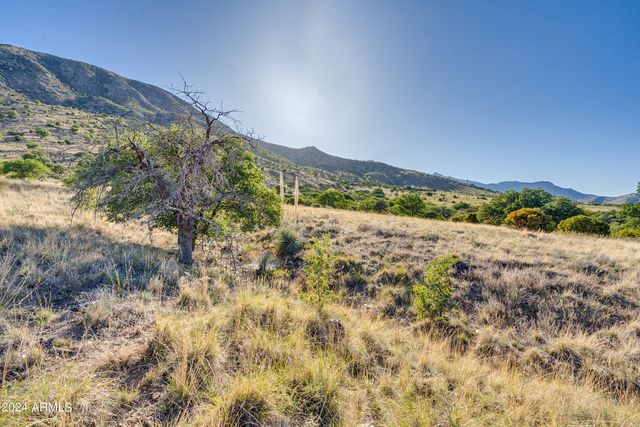 4 Acres S Ridge Rock Road D, Hereford, AZ 85615