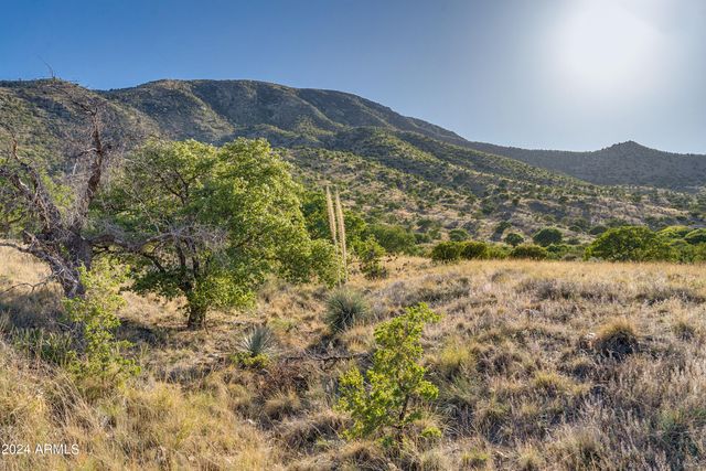 4 Acres S Ridge Rock Road D, Hereford, AZ 85615