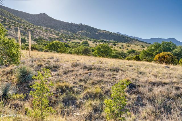 4 Acres S Ridge Rock Road D, Hereford, AZ 85615