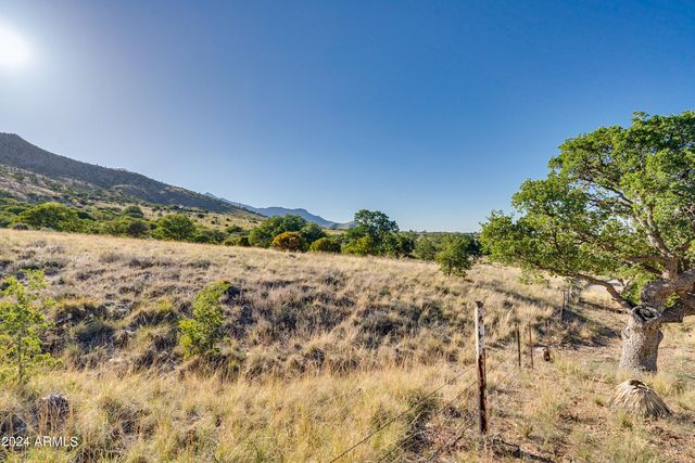 4 Acres S Ridge Rock Road D, Hereford, AZ 85615