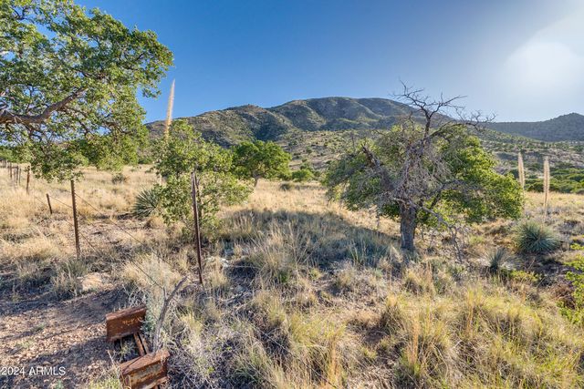 4 Acres S Ridge Rock Road D, Hereford, AZ 85615