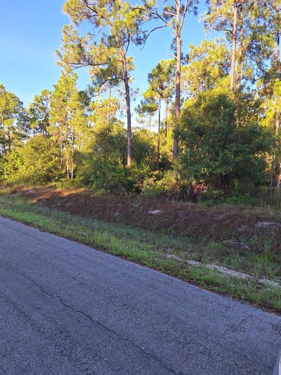 1215 WILLARD AVENUE, Lehigh Acres, FL 33972