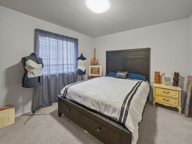 8828 King Ranch Drive, Cross Roads, TX 76227
