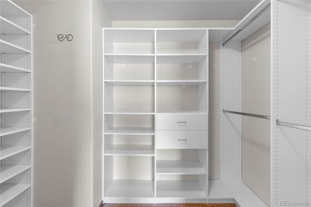 974 Halfmoon Drive, Castle Rock, CO 80104