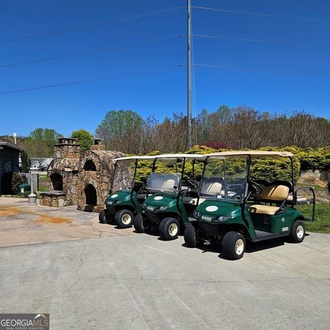 4 Mountain Meadows Drive, Morganton, GA 30560