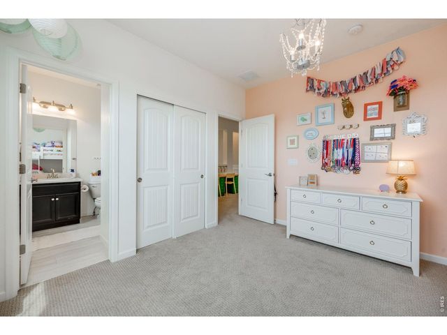 4103 Saltbrush Ct, Loveland, CO 80538