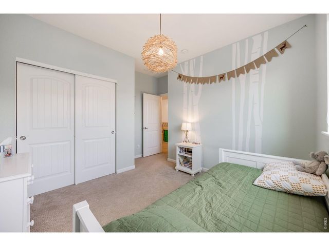 4103 Saltbrush Ct, Loveland, CO 80538