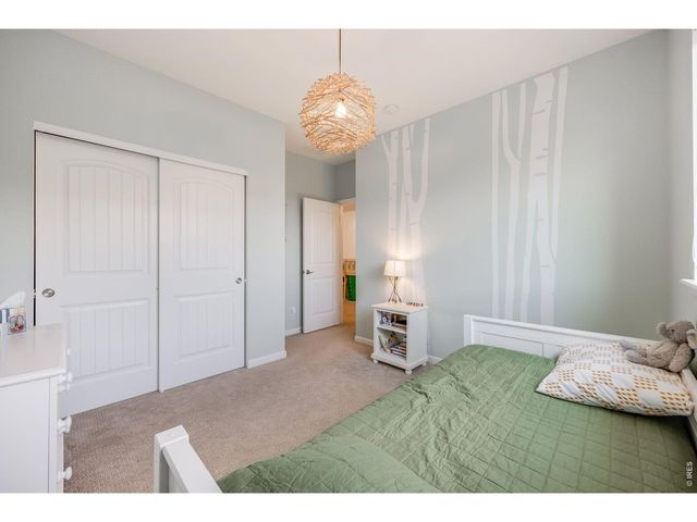 4103 Saltbrush Ct, Loveland, CO 80538