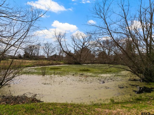 2927 Old Paris Road, Mt Pleasant, TX 75455