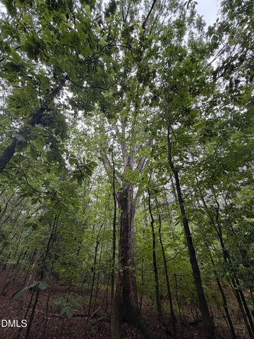 Lot 2 Claude Lewis Road, Middlesex, NC 27557