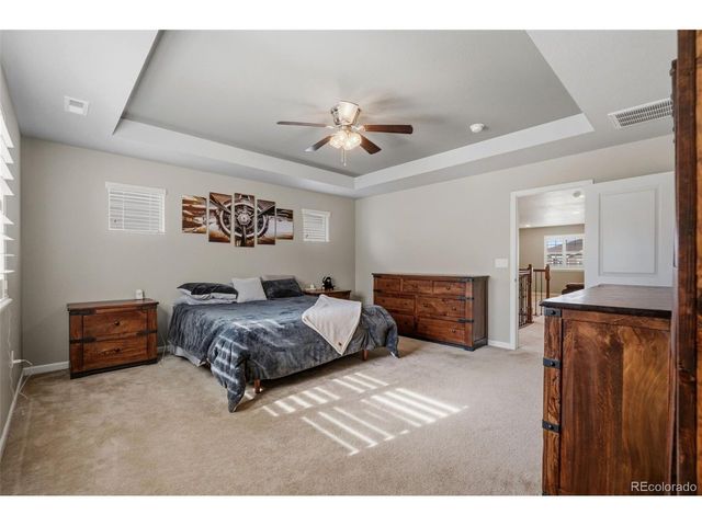 899 McMurdo Cir, Castle Rock, CO 80108