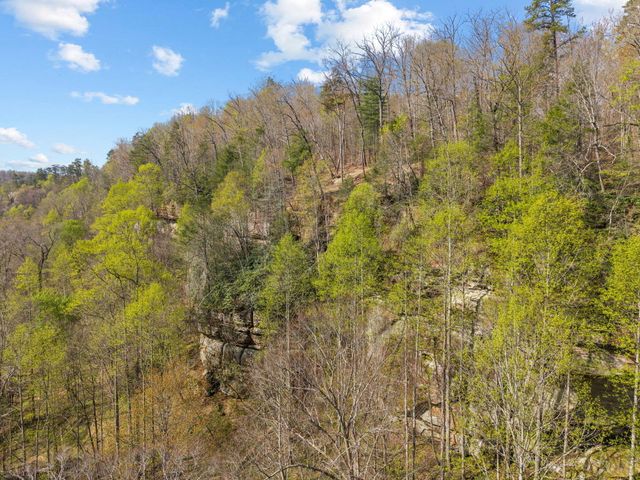 48 Venue Way, Zoe, KY 41397