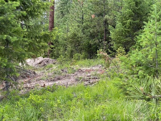36XX Lot D Sheridan Rd, Republic, WA 99166 property photo