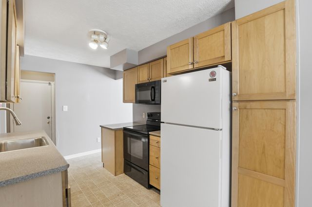 705 Ives Avenue, Big Rapids Twp, MI 49307