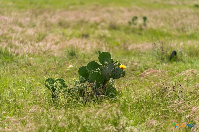 16160 Siler Road, Moody, TX 76557