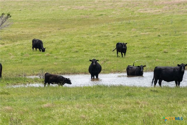 16160 Siler Road, Moody, TX 76557