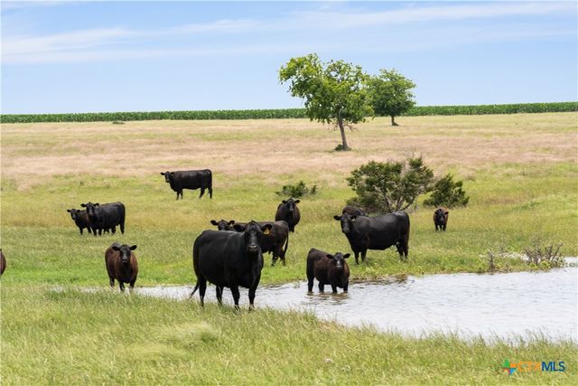 16160 Siler Road, Moody, TX 76557