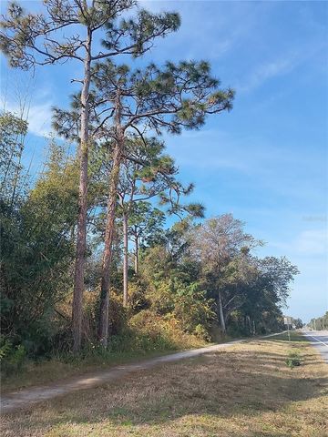 DOYLE ROAD, Deltona, FL 32738