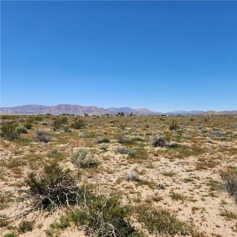 45215138 Near Fairlane, Lucerne Valley, CA 92356