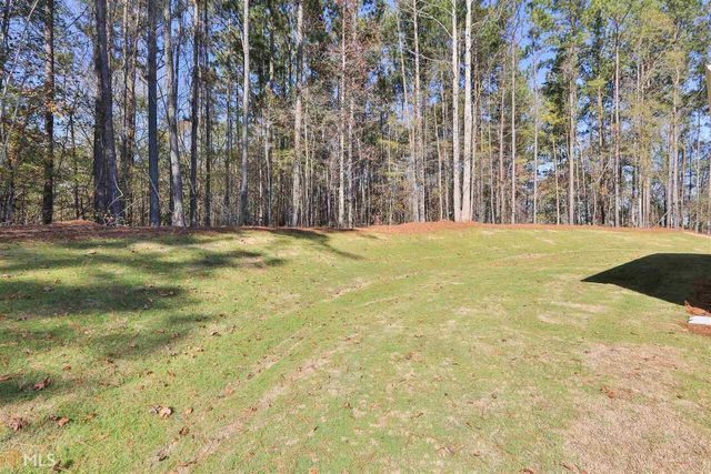 150 Filson Drive 29, Senoia, GA 30276