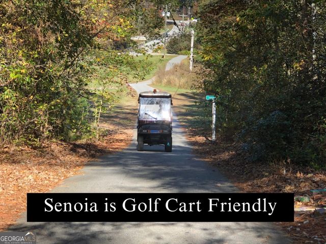 150 Filson Drive 29, Senoia, GA 30276