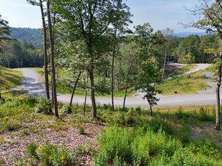 Lot 3 Mountain Laurel Ridge, Mineral Bluff, GA 30559