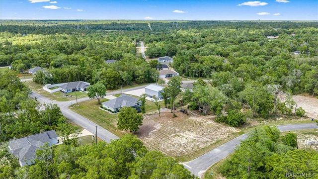 1348 W McNeal Drive, Citrus Springs, FL 34434