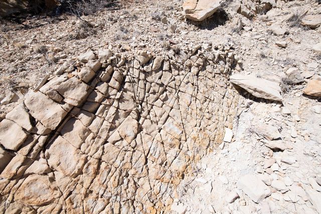 24 Camino de las Huertas Lot 5B, Placitas, NM 87043