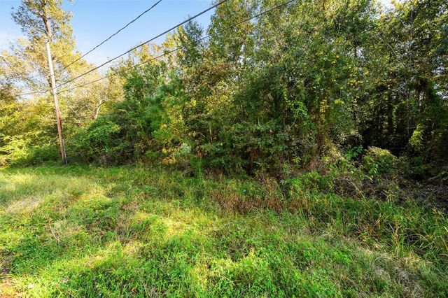 0 Red Fox Drive, Houston, TX 77532