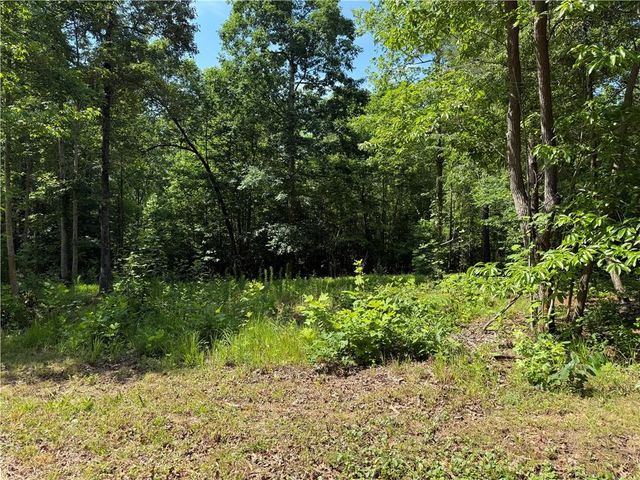 20 ac Ellijay Road, Talking Rock, GA 30175
