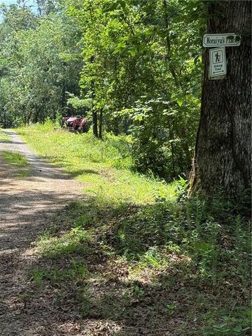 20 ac Ellijay Road, Talking Rock, GA 30175