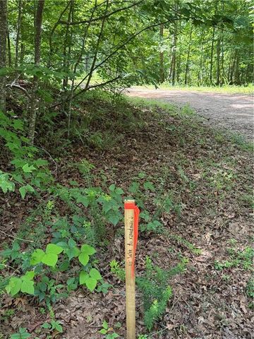 20 ac Ellijay Road, Talking Rock, GA 30175