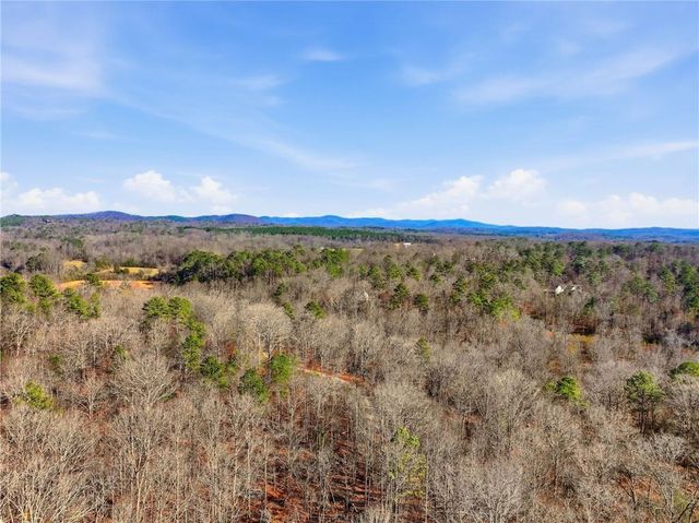 20 ac Ellijay Road, Talking Rock, GA 30175