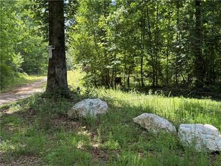 20 ac Ellijay Road, Talking Rock, GA 30175
