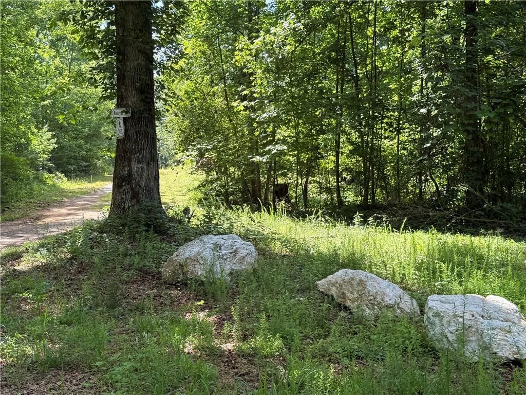 20 ac Ellijay Road, Talking Rock, GA 30175