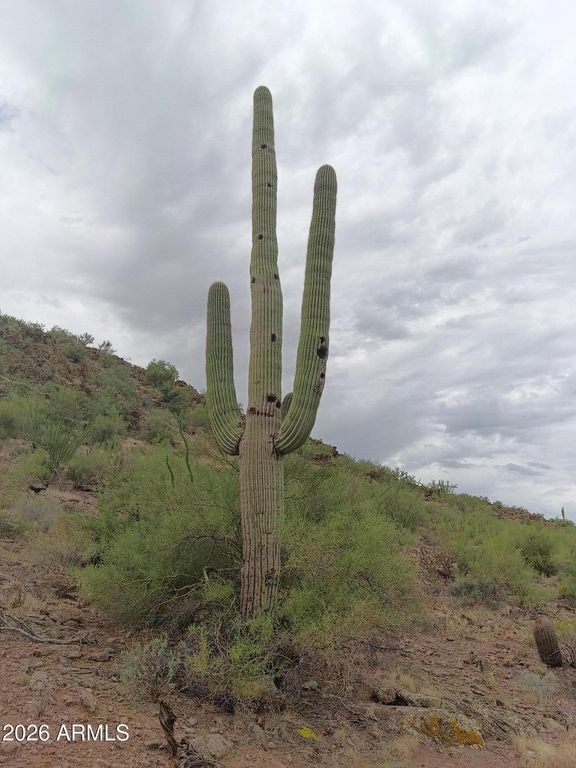 42800 N 12 Street N, New River, AZ 85087 — photo 4
