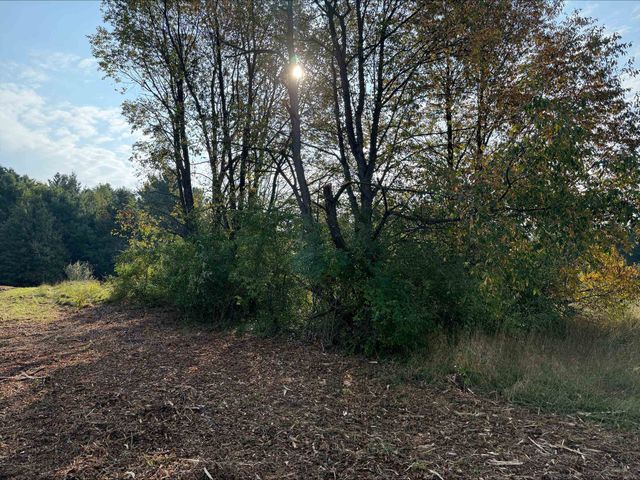 S Maple City Road, Maple City, MI 49664