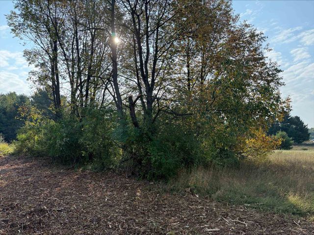 S Maple City Road, Maple City, MI 49664