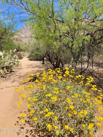 6655 N Canyon Crest Dr Unit 18203, Tucson, AZ 85750