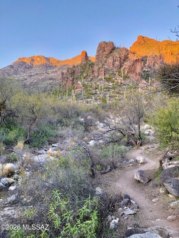 6655 N Canyon Crest Dr Unit 18203, Tucson, AZ 85750