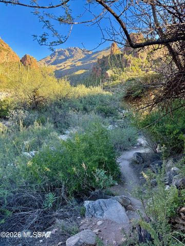 6655 N Canyon Crest Dr Unit 18203, Tucson, AZ 85750