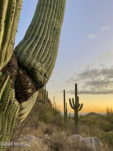 6655 N Canyon Crest Dr Unit 18203, Tucson, AZ 85750