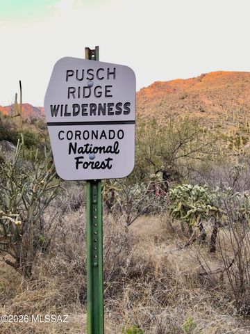 6655 N Canyon Crest Dr Unit 18203, Tucson, AZ 85750