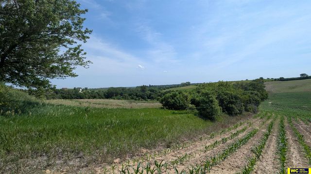 Tract 5 County Road 22, Blair, NE 68008