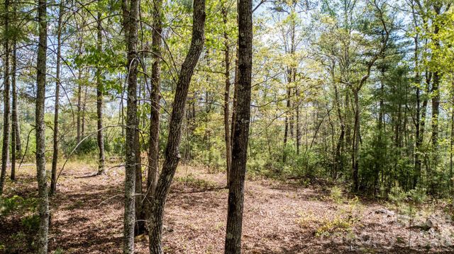 00 Scenic Lane 250, Granite Falls, NC 28630