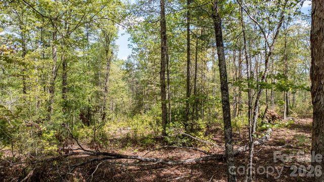 00 Scenic Lane 250, Granite Falls, NC 28630