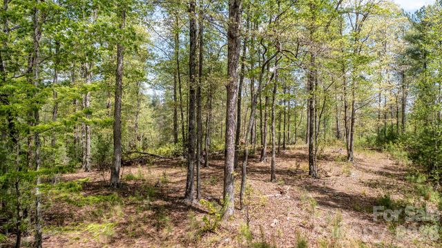 00 Scenic Lane 250, Granite Falls, NC 28630