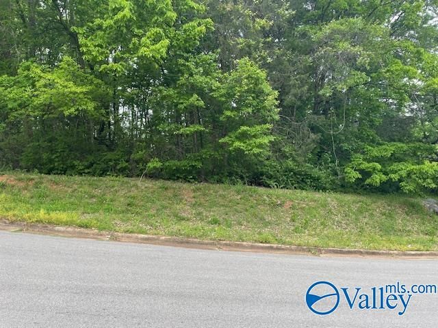 4000 Juniper Drive, Huntsville, AL 35810