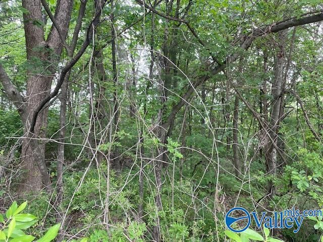 4000 Juniper Drive, Huntsville, AL 35810